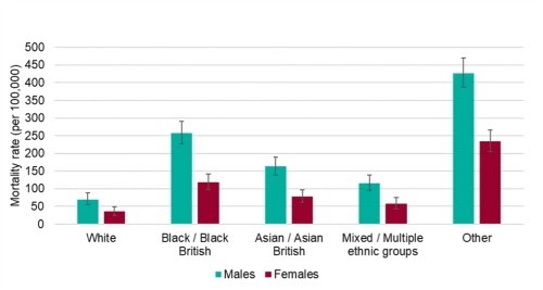 equity graph
